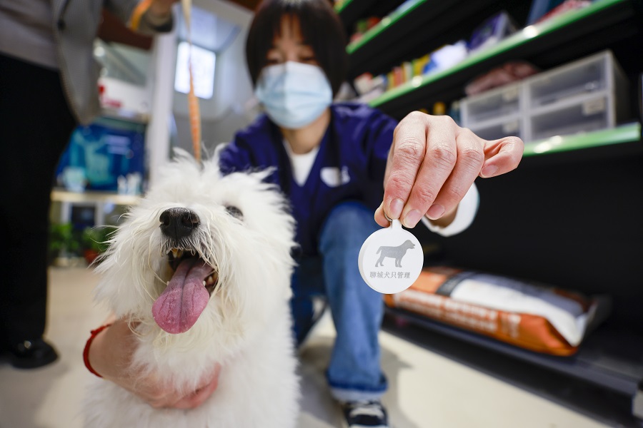 給愛(ài)犬上“戶口” 助力文明養(yǎng)犬(分離圖)(2604363)-20220421103655.JPG
