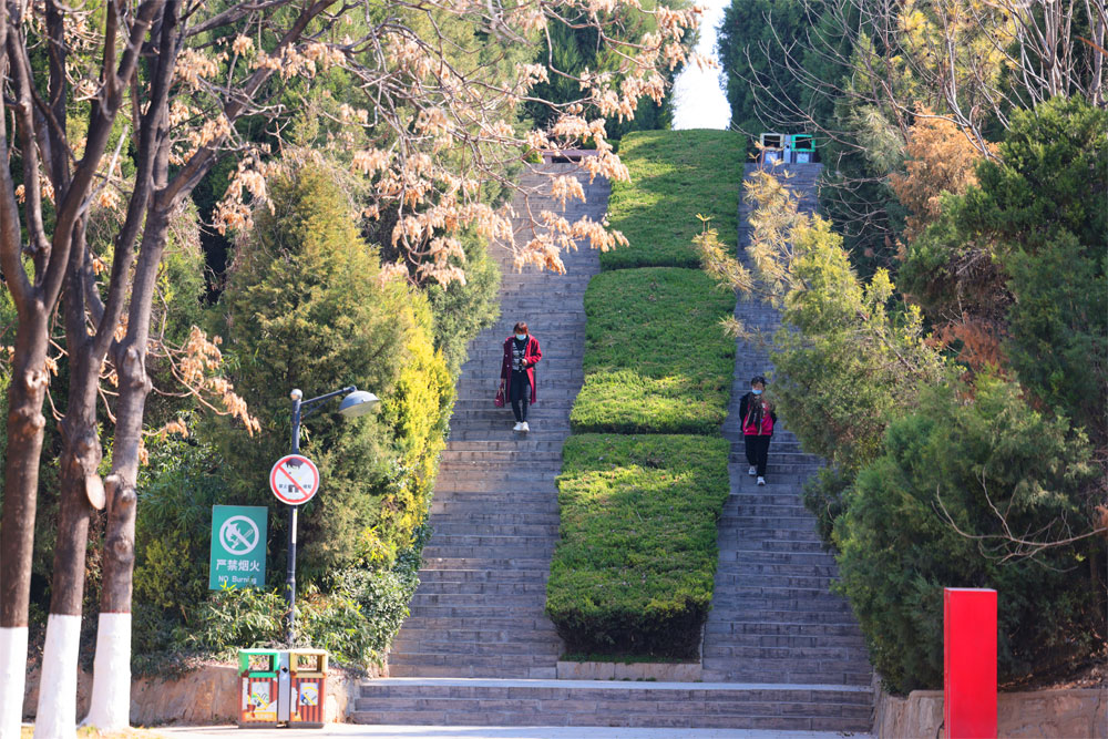 春日濕地-秀美如畫(huà)1.jpg